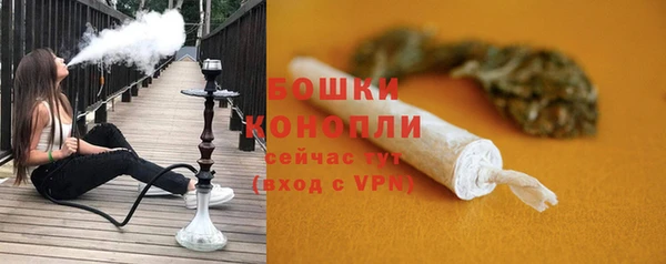 бошки Горняк
