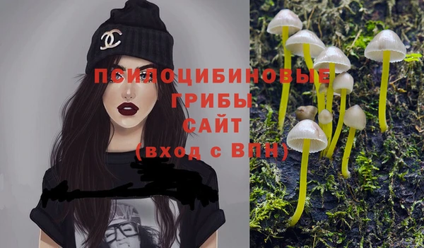 стафф Апатиты