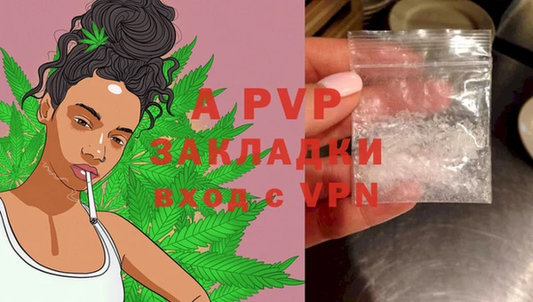 шишки Гусев