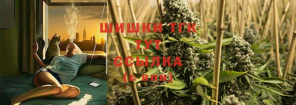стафф Апатиты