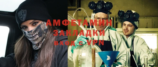 шишки Гусев
