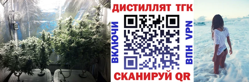ТГК вейп  как найти   Дубовка 