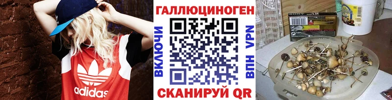 Псилоцибиновые грибы Psilocybine cubensis  мега вход  Дубовка 